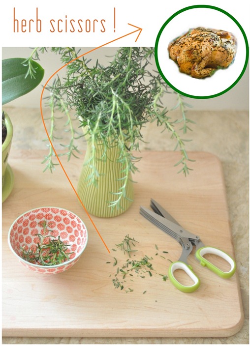 herb scissors for roasting