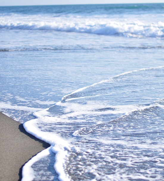 surf