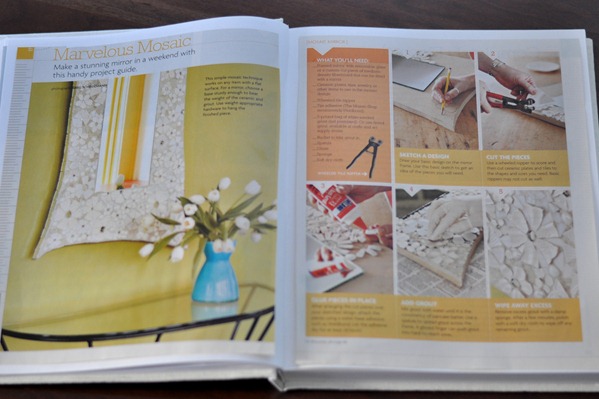 diy project book