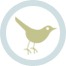 twitter button