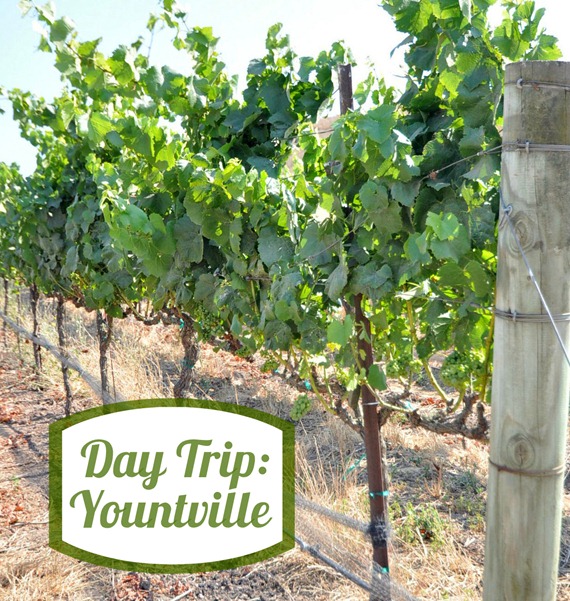 day trip yountville
