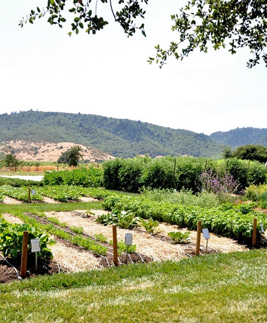 french laundry garden and valley