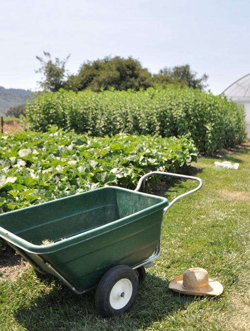 french laundry garden