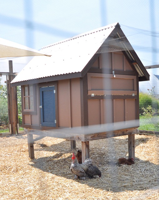 french laundry hens