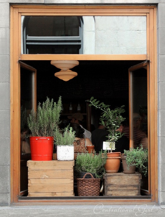 old montreal window botanicals cg