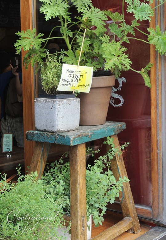 planters on stool window in montreal cg