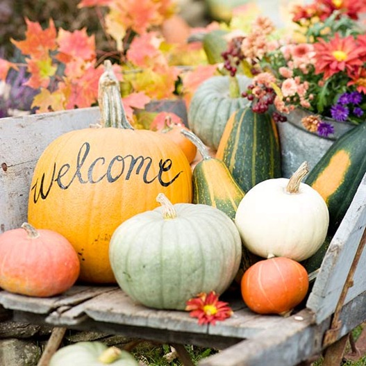 Vermont Halloween Party