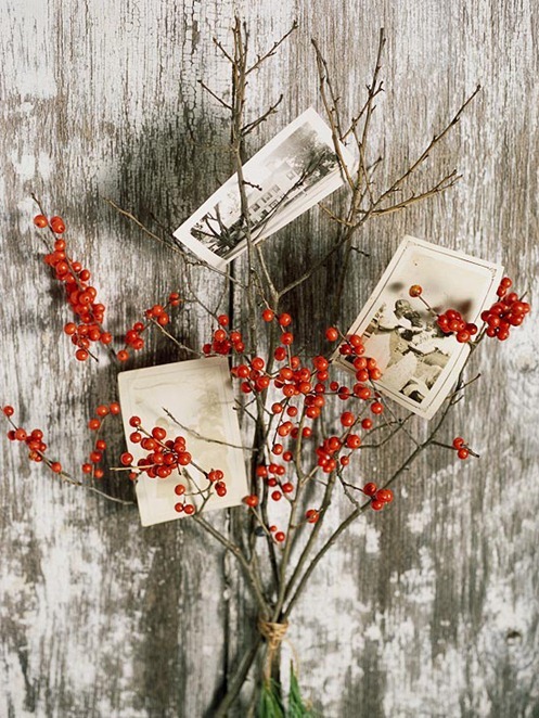 twigs and berries