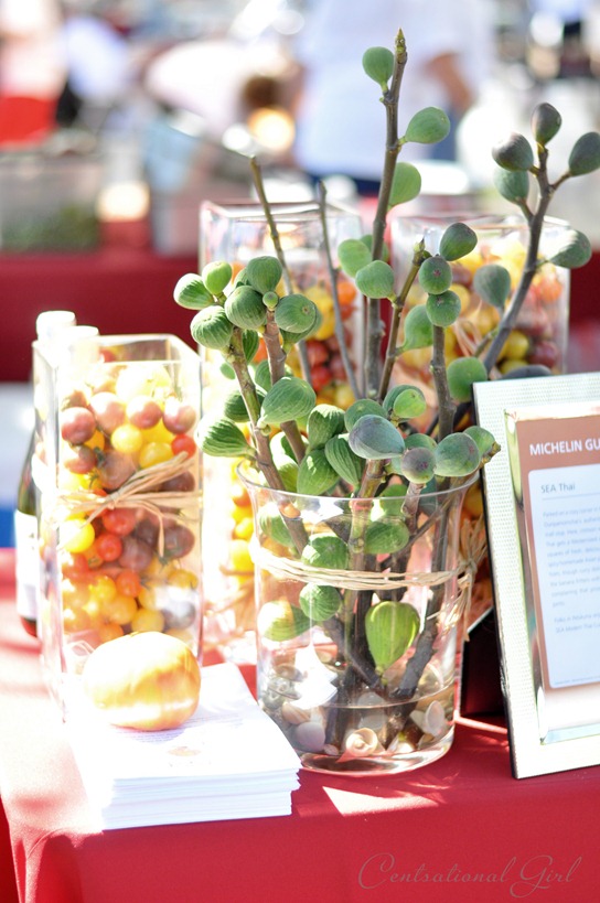 fig branches in glass vase cg