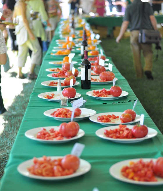 tomato samples on table