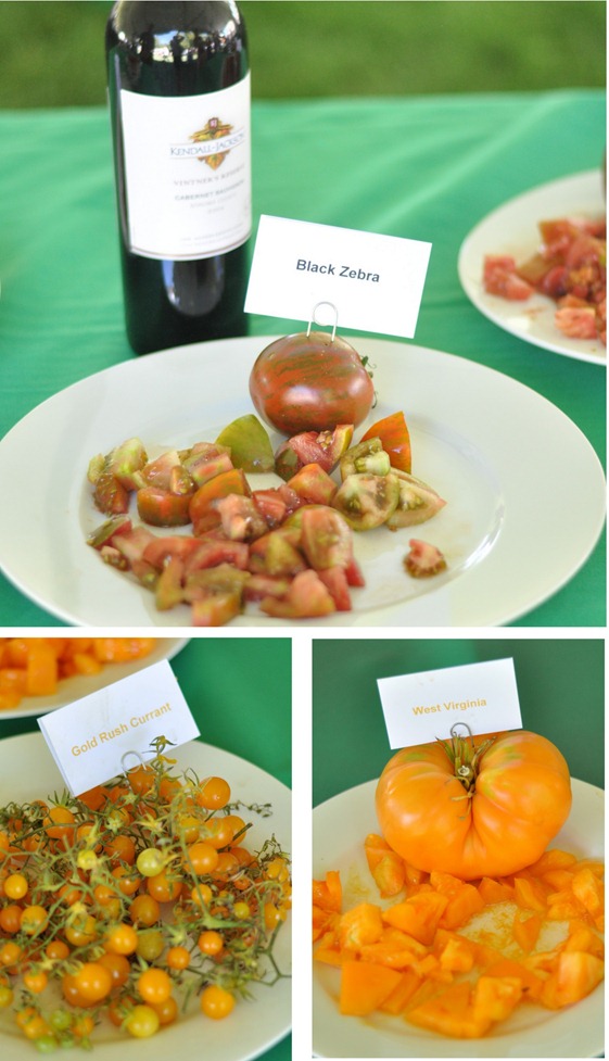tomato varieties