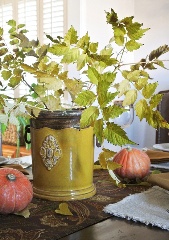 branches with leaves in containers