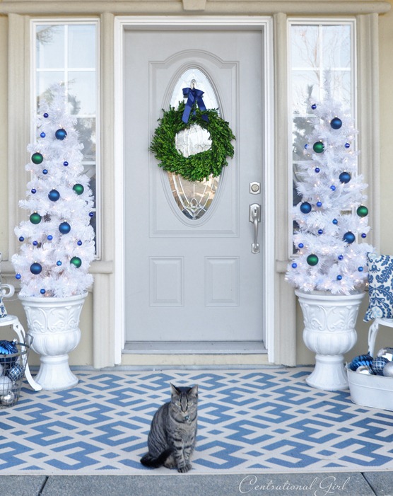 kitty on porch