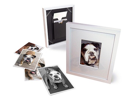 frames front and back