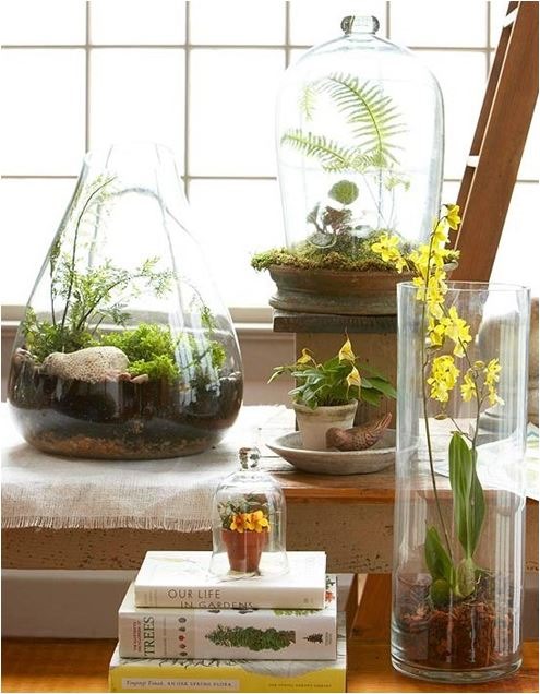 terrarium for mom