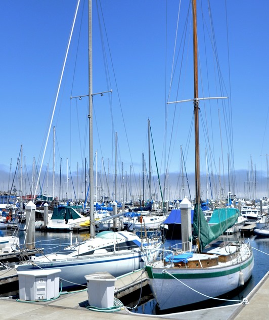 boats in harbor