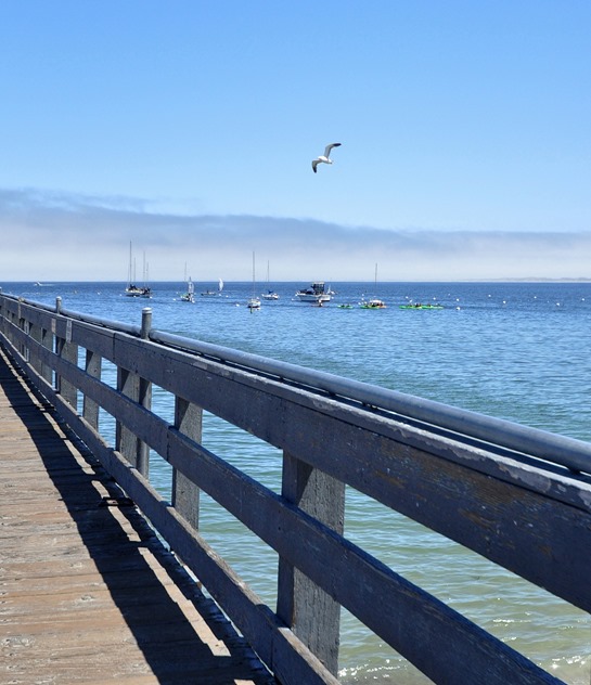 monterey fishermans wharf