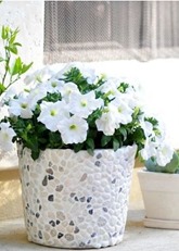 rock covered bucket