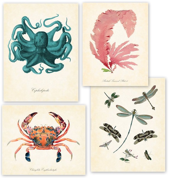 belle maison vintage prints