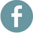facebook icon 2