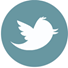 twitter icon 2