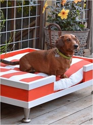 diy pet bed