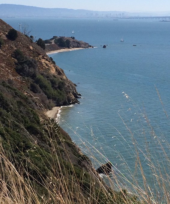 angel island coastline
