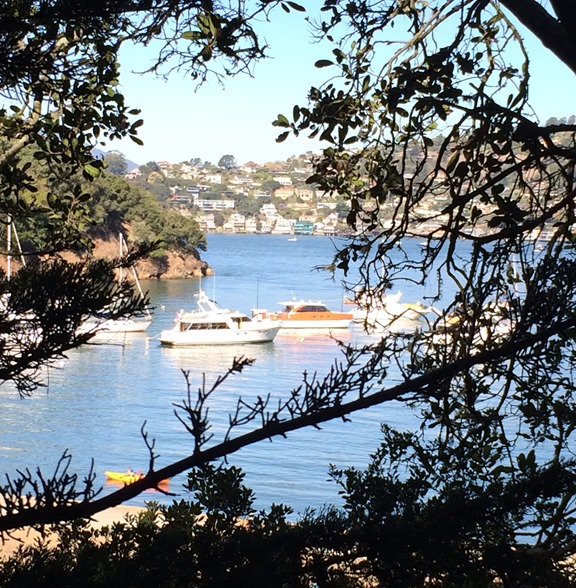 boats in harbor
