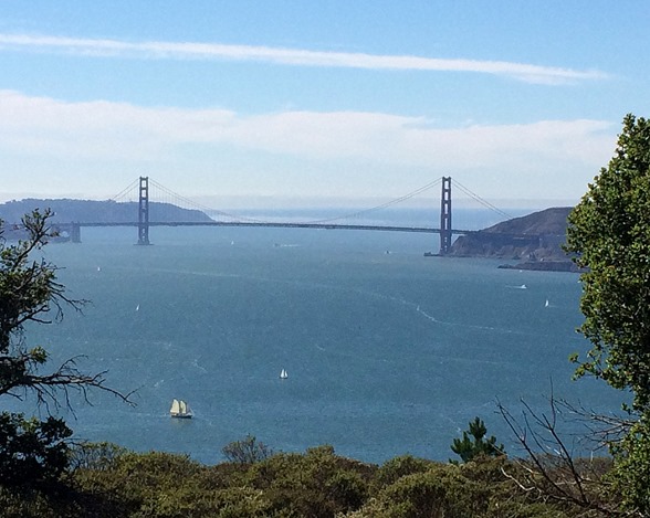 golden gate view