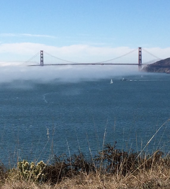 golden gate view