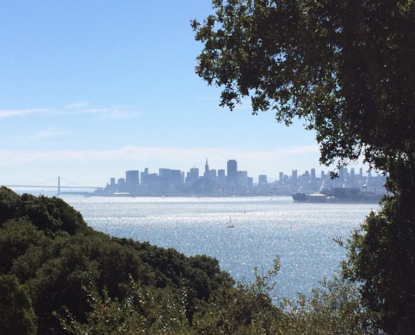 sf city view