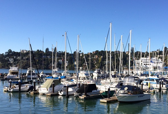 tiburon sailboats