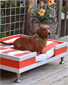 diy pet bed