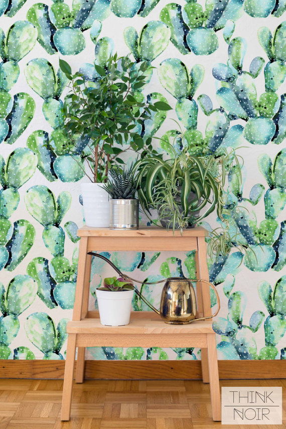 cactus wallpaper