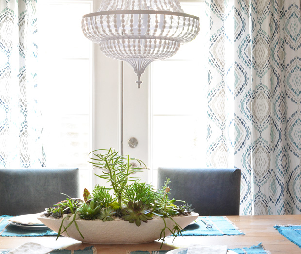 succulents dining room
