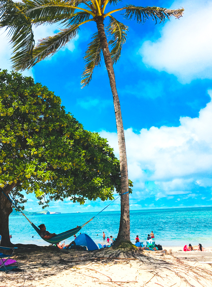 Waikiki Life - Beach Bag