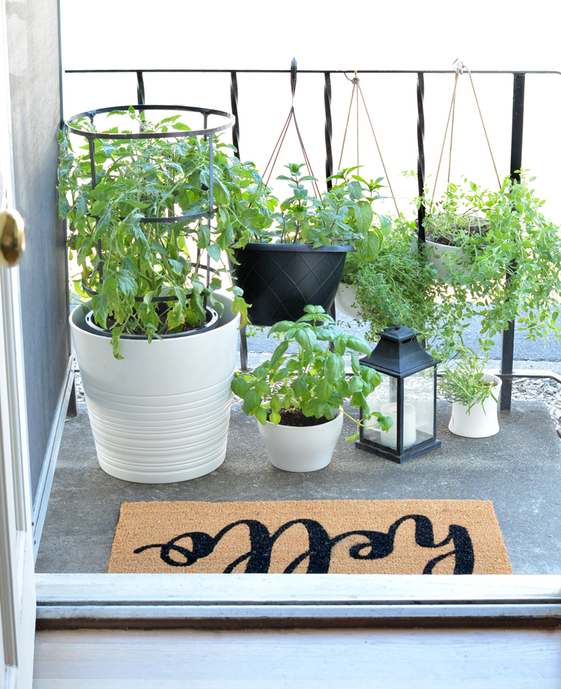 Container Herb Garden + Hanging Planter Sets