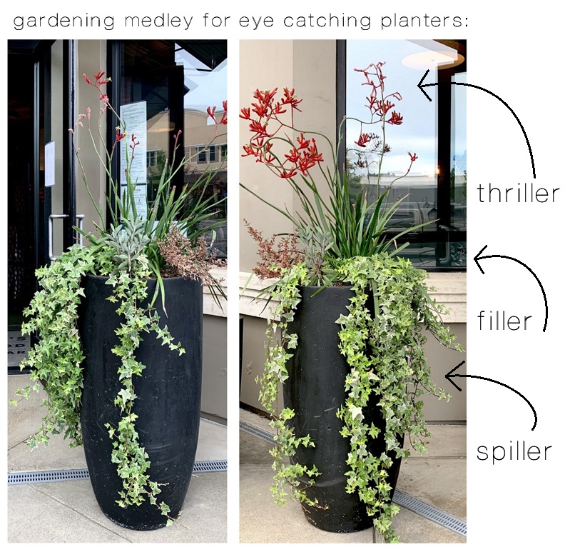 What Are The 5 Best Pot Fillers To Use In Large Planters?