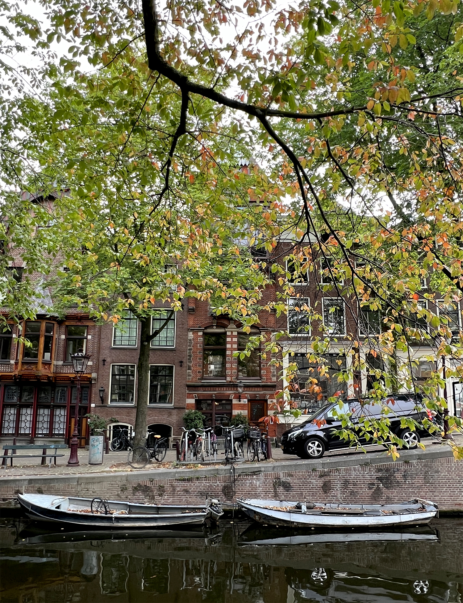 autumn leaves in amsterdam