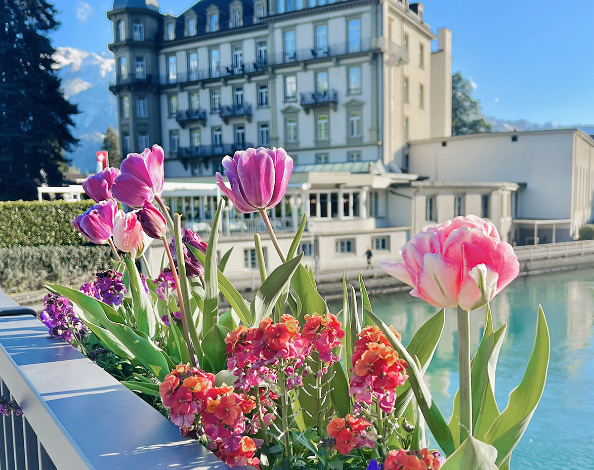 Spring in Switzerland | Centsational Style